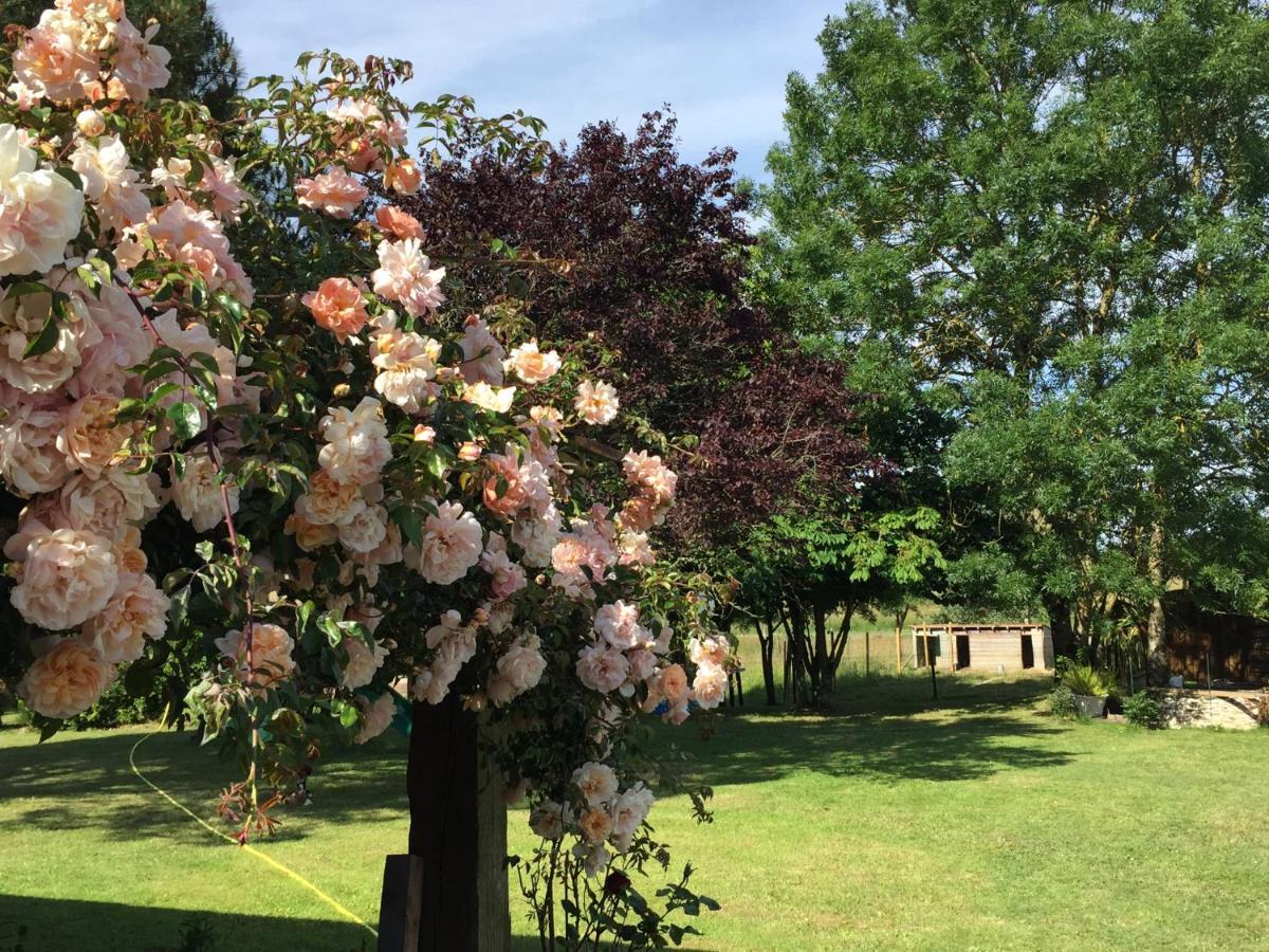 Au Mas Retz De Jade Bed & Breakfast Chauvé Dış mekan fotoğraf