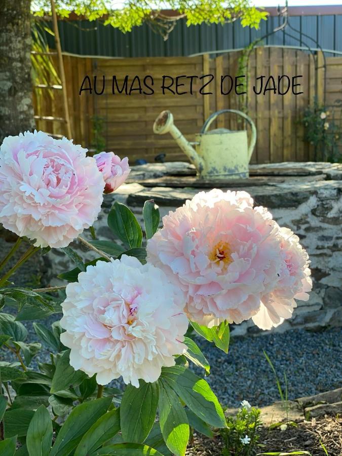Au Mas Retz De Jade Bed & Breakfast Chauvé Dış mekan fotoğraf